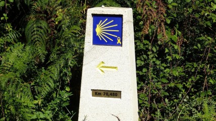 De Camino de Santiago: ook voor mij?